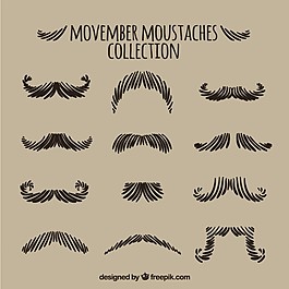 粗略的Movember胡子收藏