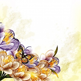 花的背景設(shè)計(jì)