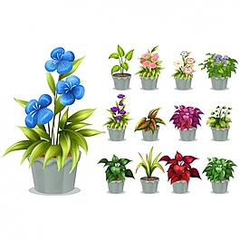 花盆收藏