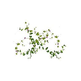 手繪清新藤葉元素
