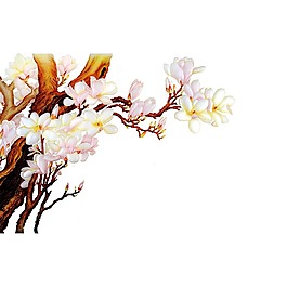 手绘玉兰花元素