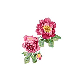 簡約紅色花朵元素