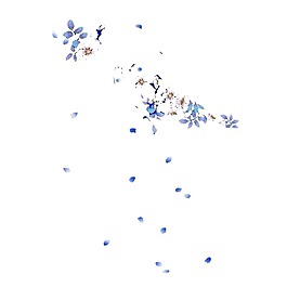 清新蓝色花朵花瓣元素