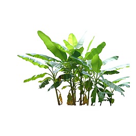 清新綠色植物元素