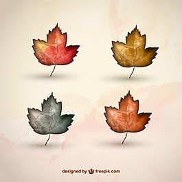 秋天的葉子