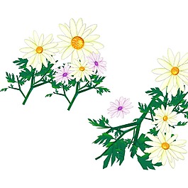 清新白色花朵元素