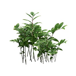清新綠色植物葉子元素