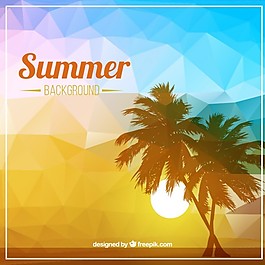 棕櫚樹的夏季背景
