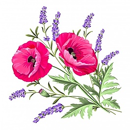 花的背景設(shè)計