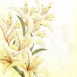 花的背景設(shè)計(jì)
