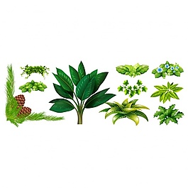綠色的葉子收藏