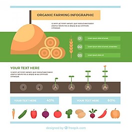 柔和的色調(diào)，平的有機(jī)infography