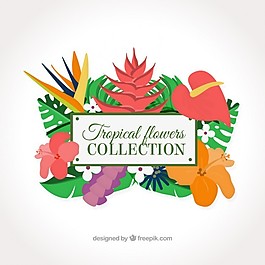 異國情調的鮮花裝飾