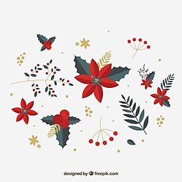 红色冬季花的品种