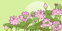 手繪荷花插畫