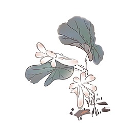 手繪荷葉元素