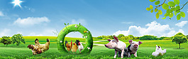 畜牧行業banner