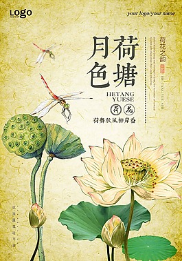 清新的荷塘月色海報
