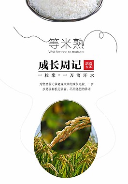 成长周记海报