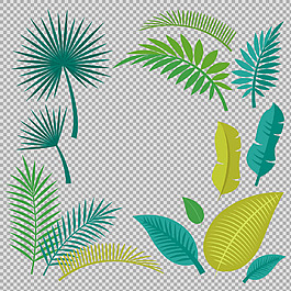 各種葉子插畫(huà)免摳png透明圖層素材