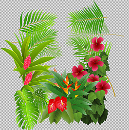 鮮花葉子插畫免摳png透明圖層素材