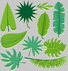 手繪各種綠色葉子插畫(huà)免摳png透明素材