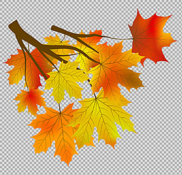 手繪紅色楓葉插畫(huà)免摳png透明圖層素材