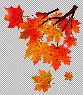 手繪紅色楓葉免摳png透明圖層素材