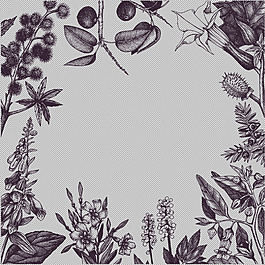 素描風(fēng)格花卉邊框免摳png透明圖層素材
