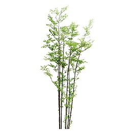 手繪清新綠色樹枝元素