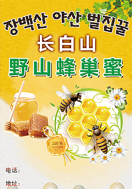 蜂蜜促销海报