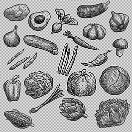 各種素描風(fēng)格蔬菜免摳png透明圖層素材