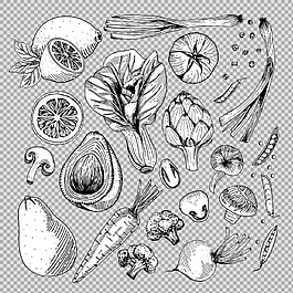 手繪素描風(fēng)格蔬菜免摳png透明圖層素材