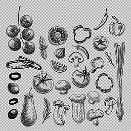 各種素描風(fēng)格蔬菜免摳png透明圖層素材