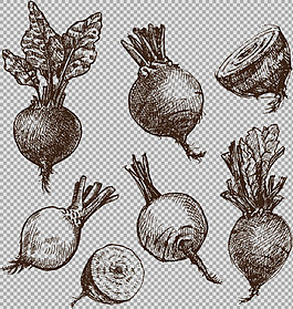 素描風(fēng)格甜菜蔬菜免摳png透明圖層素材
