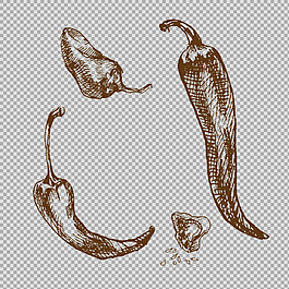素描風(fēng)格辣椒蔬菜免摳png透明圖層素材