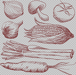 手繪素描風(fēng)格蔬菜免摳png透明圖層素材