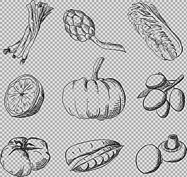 素描風(fēng)格各種蔬菜免摳png透明圖層素材