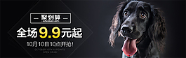 狗狗狗糧海報(bào)