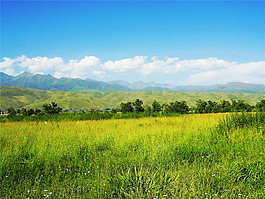 草原风景H5背景图