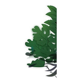 綠色樹(shù)葉元素