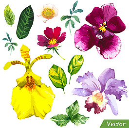 清新水彩繪花朵插畫(huà)