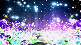 夢幻水彩花視頻背景