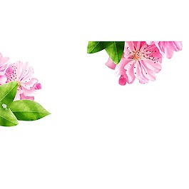 浪漫花朵元素