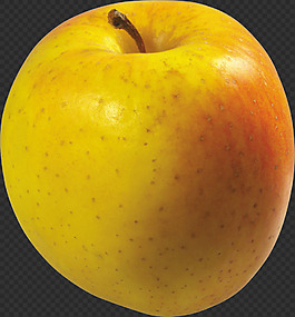 紅色寫(xiě)實(shí)蘋(píng)果圖片免摳png透明圖層素材