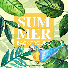 手繪水彩清新夏季葉子鸚鵡插畫