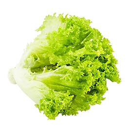綠色生菜元素