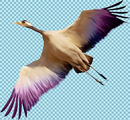 彩色飛翔的鳥圖片免摳png透明圖層素材
