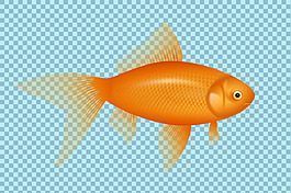 好看的金魚(yú)圖片免摳png透明圖層素材