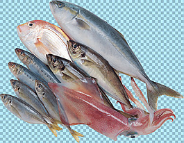 一堆魚圖片免摳png透明圖層素材